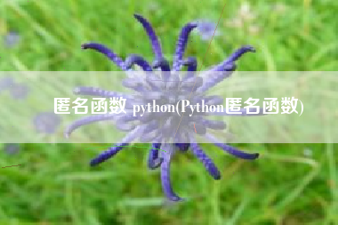 匿名函数 python(Python匿名函数)