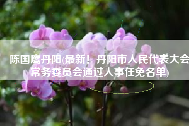 陈国鹰丹阳(最新！丹阳市人民代表大会常务委员会通过人事任免名单)