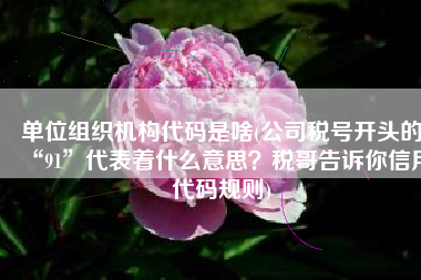 单位组织机构代码是啥(公司税号开头的“91”代表着什么意思？税哥告诉你信用代码规则)
