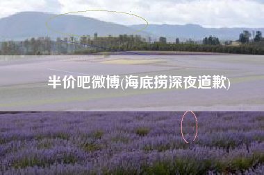 半价吧微博(海底捞深夜道歉)