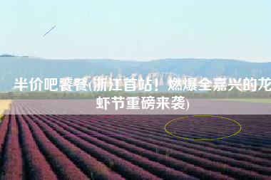 半价吧饕餮(浙江首站！燃爆全嘉兴的龙虾节重磅来袭)