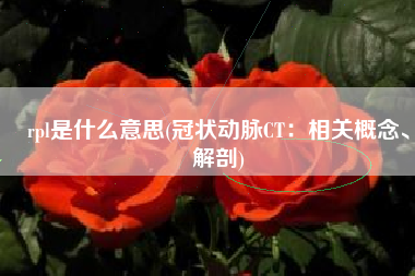 rpl是什么意思(冠状动脉CT：相关概念、解剖)