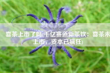喜茶上市了吗(千亿赛道新茶饮：喜茶未上市，资本已疯狂)
