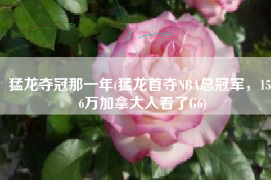 猛龙夺冠那一年(猛龙首夺NBA总冠军，1596万加拿大人看了G6)