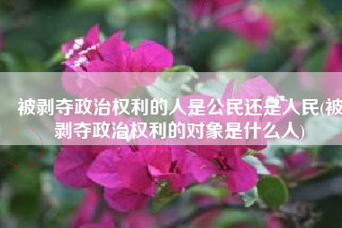 被剥夺政治权利的人是公民还是人民(被剥夺政治权利的对象是什么人)