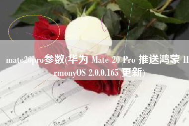 mate20pro参数(华为 Mate 20 Pro 推送鸿蒙 HarmonyOS 2.0.0.165 更新)