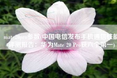mate20pro参数(中国电信发布手机通信性能评测报告：华为Mate 20 Pro获六个第一)