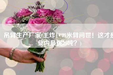 吊臂生产厂家(王炸！45米臂问世！这才是业内最强25吨？)