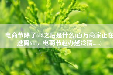 电商节除了618之后是什么(百万商家正在逃离618，电商节越办越冷清......)