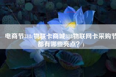 电商节318(物联卡商城318物联网卡采购节都有哪些亮点？)