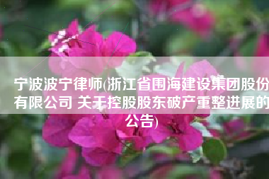 宁波波宁律师(浙江省围海建设集团股份有限公司 关于控股股东破产重整进展的公告)