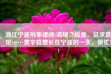 浙江宁波刑事律师(调研、检查、征求意见……贾宇检察长在宁波的一天，很忙！)
