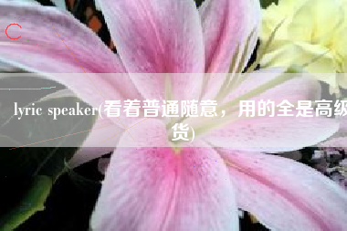 lyric speaker(看着普通随意，用的全是高级货)