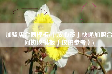 加盟店合同模板(「放心签」快递加盟合同协议模板（仅供参考）)