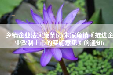 乡镇企业法实施条例(朱家角镇《推进企业改制上市的实施意见》的通知)