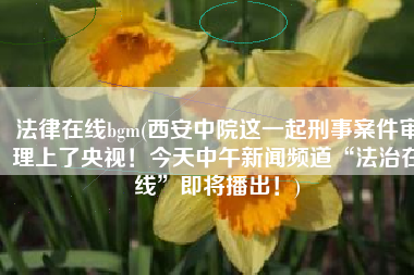 法律在线bgm(西安中院这一起刑事案件审理上了央视！今天中午新闻频道“法治在线”即将播出！)