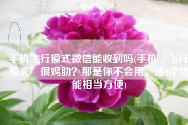 手机飞行模式微信能收到吗(手机“飞行模式”很鸡肋？那是你不会用，这4个功能相当方便)