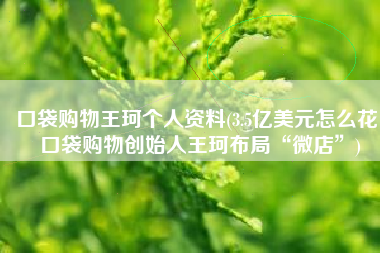 口袋购物王珂个人资料(3.5亿美元怎么花，口袋购物创始人王珂布局“微店”)
