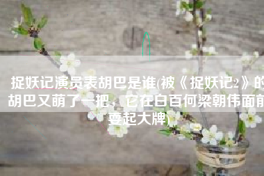 捉妖记演员表胡巴是谁(被《捉妖记2》的胡巴又萌了一把，它在白百何梁朝伟面前耍起大牌)