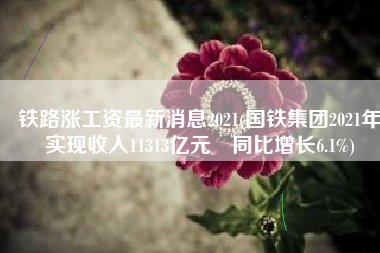 铁路涨工资最新消息2021(国铁集团2021年实现收入11313亿元 同比增长6.1%)