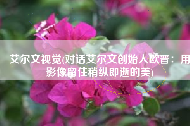 艾尔文视觉(对话艾尔文创始人欧晋：用影像留住稍纵即逝的美)