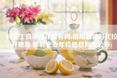 河北工商申报年检官网(信用监管时代拉开帷幕 邯郸企业年检信息网上公布)