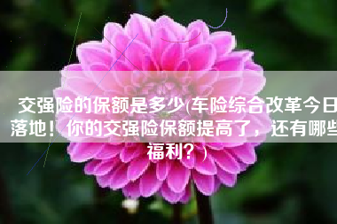 交强险的保额是多少(车险综合改革今日落地！你的交强险保额提高了，还有哪些福利？)