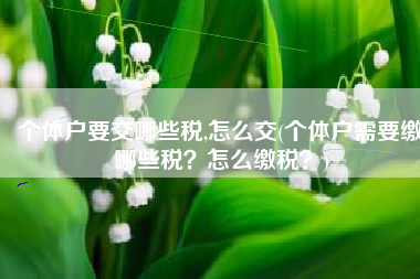 个体户要交哪些税,怎么交(个体户需要缴哪些税？怎么缴税？)