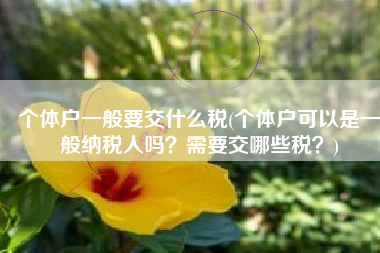 个体户一般要交什么税(个体户可以是一般纳税人吗？需要交哪些税？)