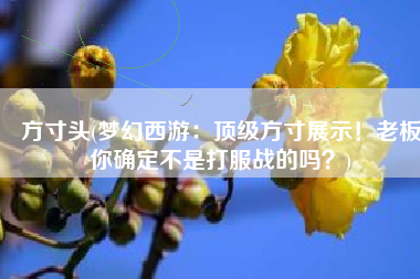 方寸头(梦幻西游：顶级方寸展示！老板你确定不是打服战的吗？)