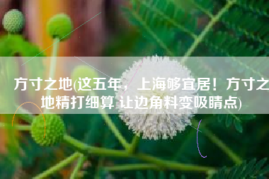 方寸之地(这五年，上海够宜居！方寸之地精打细算 让边角料变吸睛点)