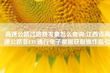 高速公路过路费发票怎么查询(江西省高速公路非ETC通行电子票据获取操作指引)