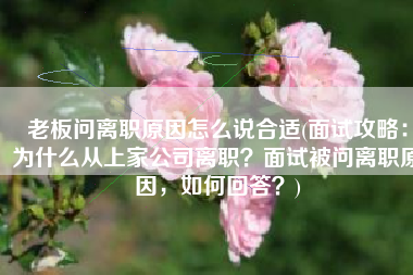 老板问离职原因怎么说合适(面试攻略：为什么从上家公司离职？面试被问离职原因，如何回答？)