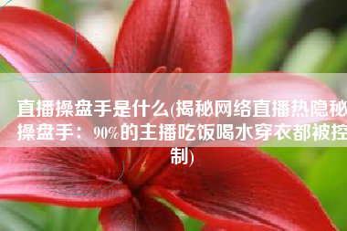 直播操盘手是什么(揭秘网络直播热隐秘操盘手：90%的主播吃饭喝水穿衣都被控制)