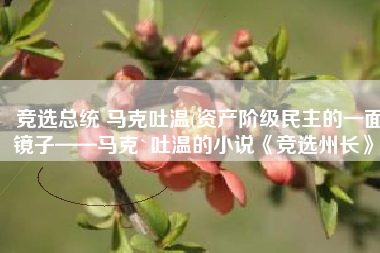 竞选总统 马克吐温(资产阶级民主的一面镜子——马克`吐温的小说《竞选州长》)