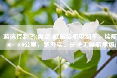 蓝德控制器(盘点3款高续航电动车，续航200~400公里，跑外卖、长途无续航焦虑)