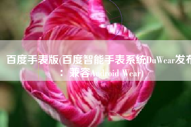 百度手表版(百度智能手表系统DuWear发布：兼容Android Wear)