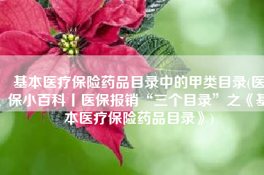 基本医疗保险药品目录中的甲类目录(医保小百科丨医保报销“三个目录”之《基本医疗保险药品目录》)