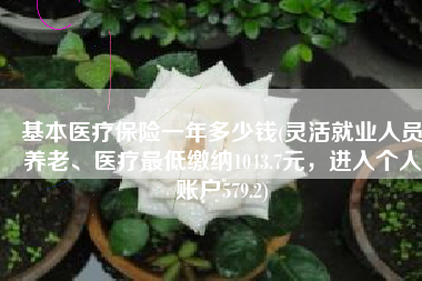 基本医疗保险一年多少钱(灵活就业人员养老、医疗最低缴纳1043.7元，进入个人账户579.2)
