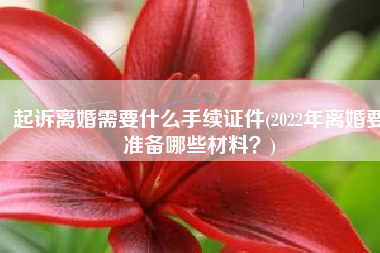 起诉离婚需要什么手续证件(2022年离婚要准备哪些材料？)