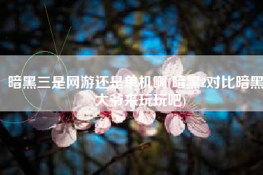 暗黑三是网游还是单机啊(暗黑2对比暗黑3 大爷来玩玩吧)