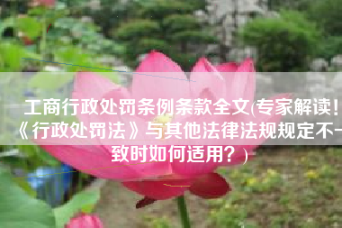 工商行政处罚条例条款全文(专家解读！《行政处罚法》与其他法律法规规定不一致时如何适用？)