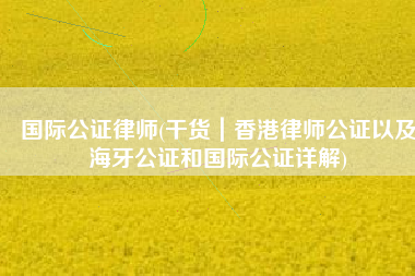 国际公证律师(干货｜香港律师公证以及海牙公证和国际公证详解)
