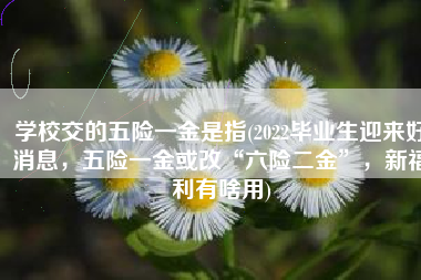 学校交的五险一金是指(2022毕业生迎来好消息，五险一金或改“六险二金”，新福利有啥用)