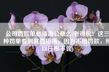 公司罚款单必须盖公章么(老司机：这三种罚单看到就直接撕，因为不用罚款，所以压根不管)