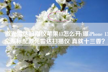 激光雷达扫描仪苹果13怎么开(曝iPhone 13全系标配激光雷达扫描仪 真就十三香？)
