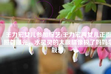 王力宏女儿参加综艺(王力宏两女儿正面照首曝光，水灵灵的大眼睛像极了妈妈李靓蕾)