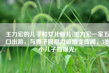 王力宏的儿子和女儿照片(王力宏一家五口出游，与妻子同框力破婚变传闻，3岁小儿子首曝光)