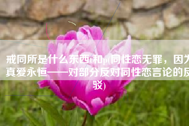 戒同所是什么东西t和p(同性恋无罪，因为真爱永恒——对部分反对同性恋言论的反驳)