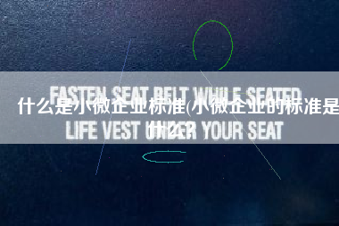 什么是小微企业标准(小微企业的标准是什么？)